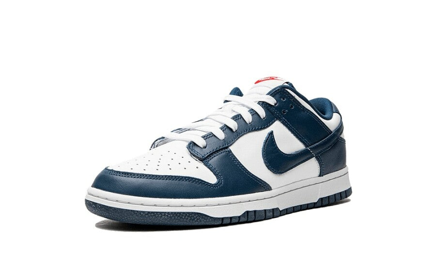 Nike Dunk Low "Valerian Blue"